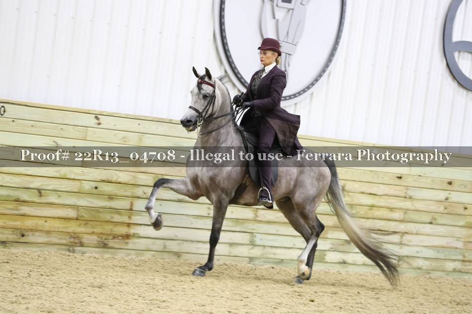 Proof 22R13_04708