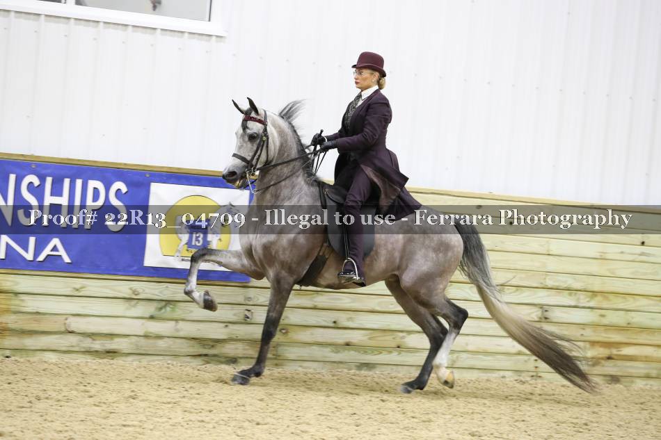 Proof 22R13_04709