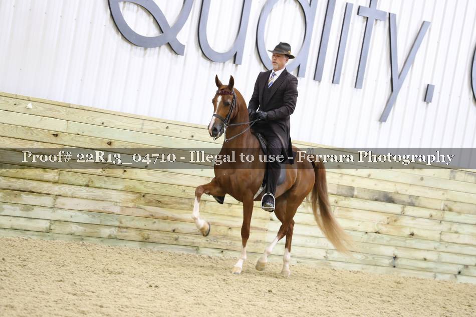 Proof 22R13_04710