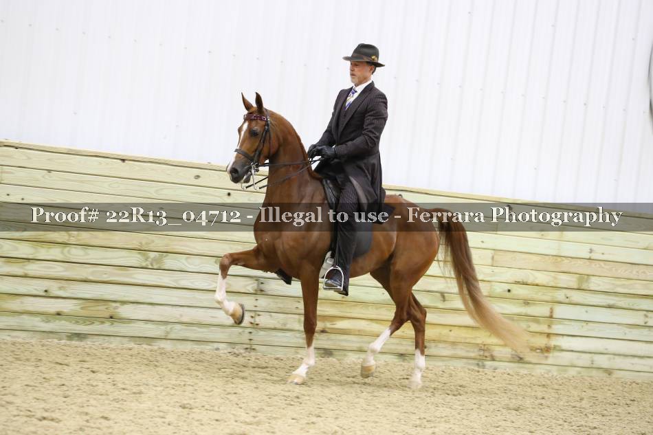 Proof 22R13_04712