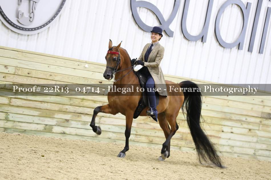 Proof 22R13_04714