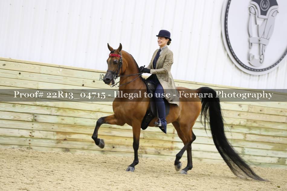 Proof 22R13_04715