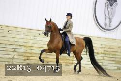 22R13_04715 proof