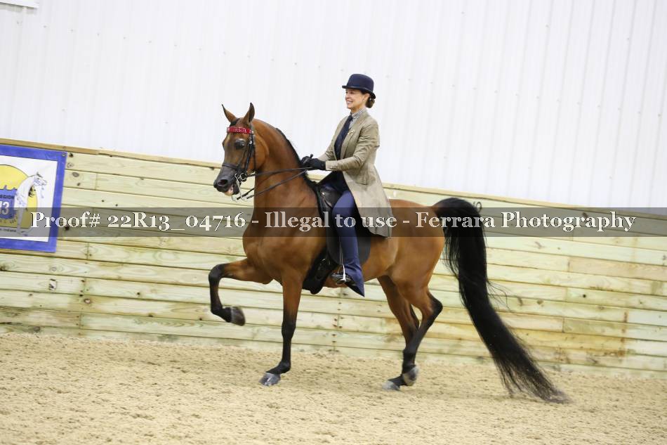 Proof 22R13_04716