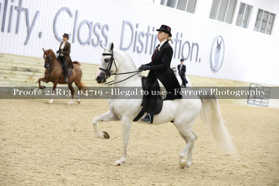 Proof 22R13_04719