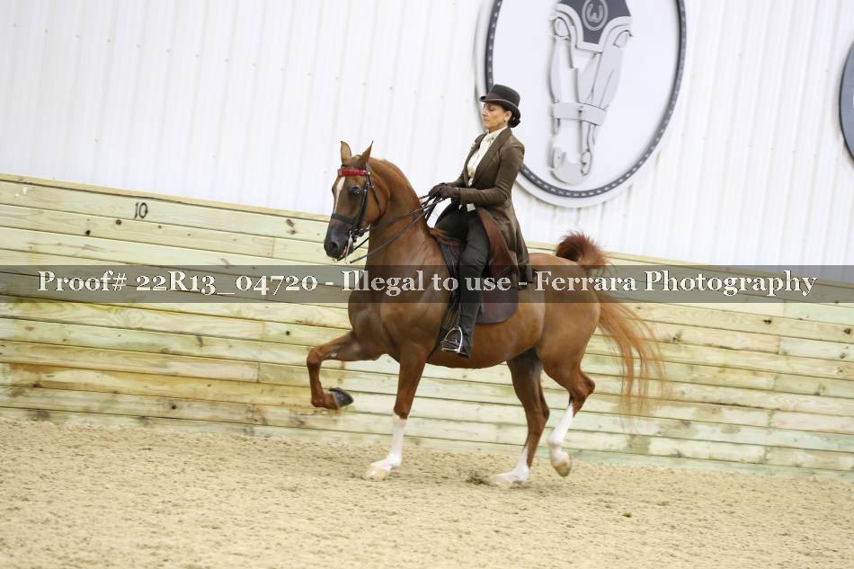 Proof 22R13_04720