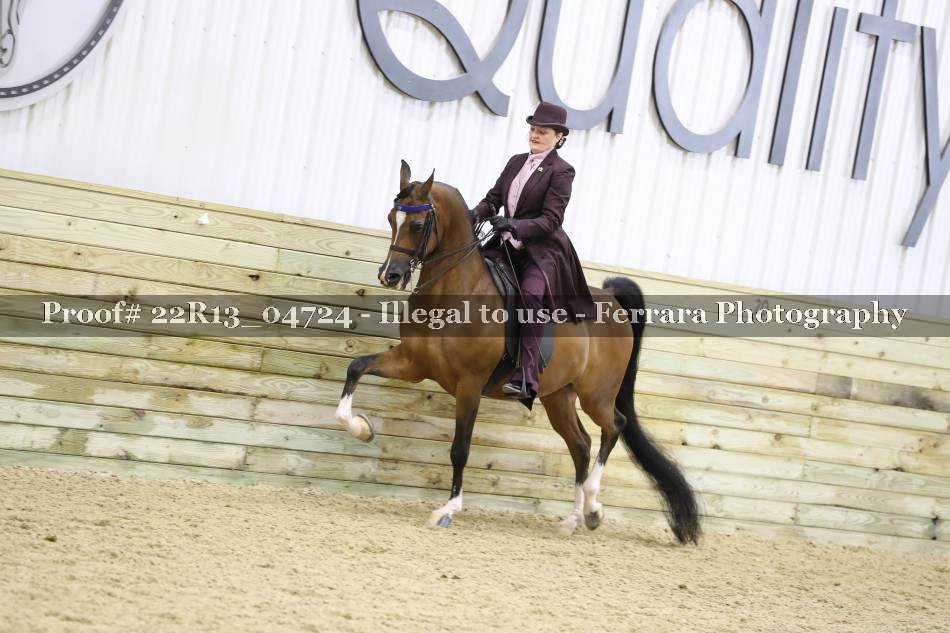 Proof 22R13_04724