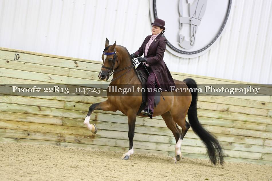 Proof 22R13_04725