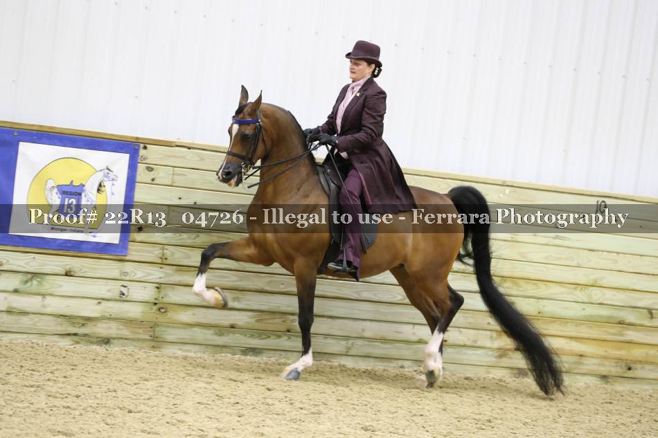 Proof 22R13_04726