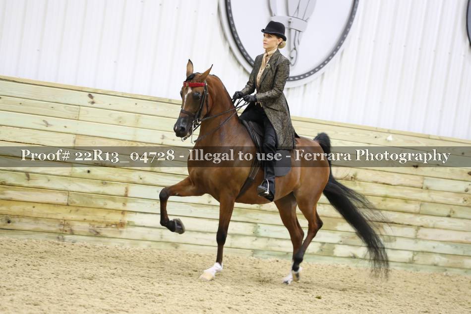Proof 22R13_04728