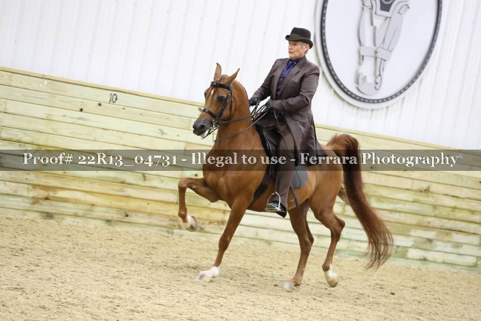 Proof 22R13_04731