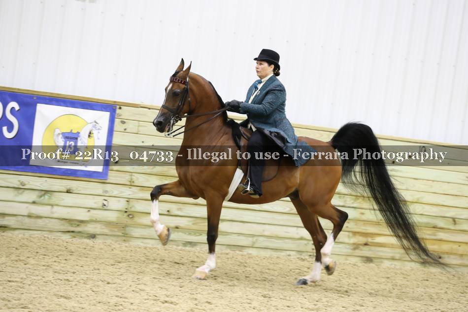 Proof 22R13_04733