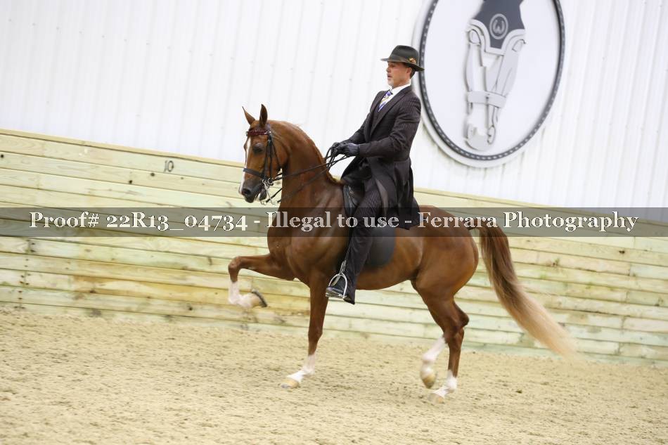 Proof 22R13_04734