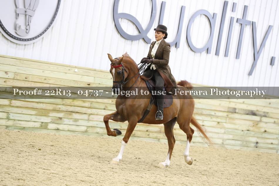 Proof 22R13_04737