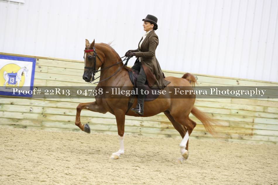 Proof 22R13_04738