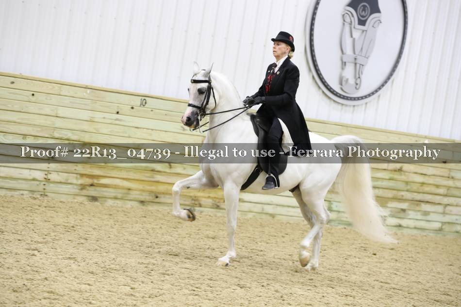 Proof 22R13_04739