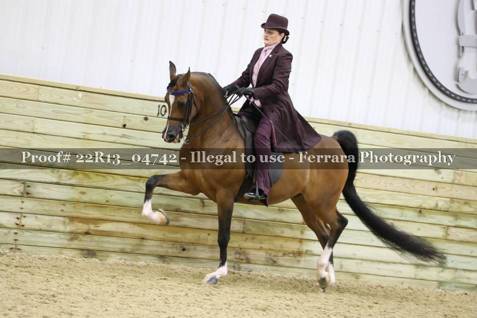 Proof 22R13_04742