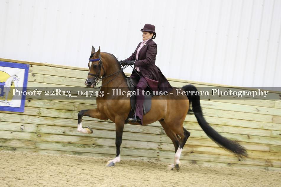 Proof 22R13_04743