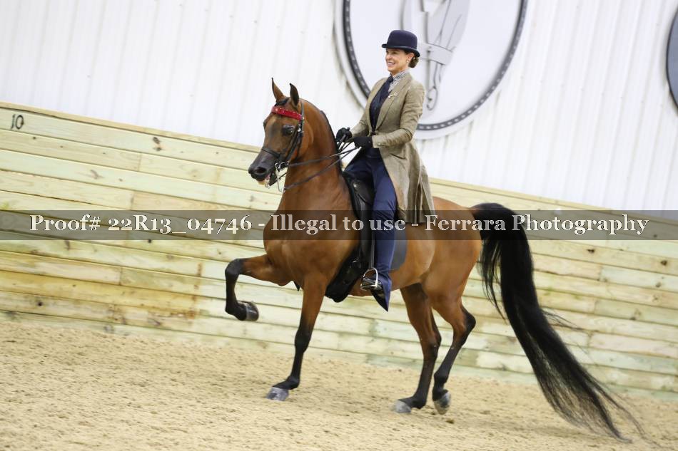 Proof 22R13_04746
