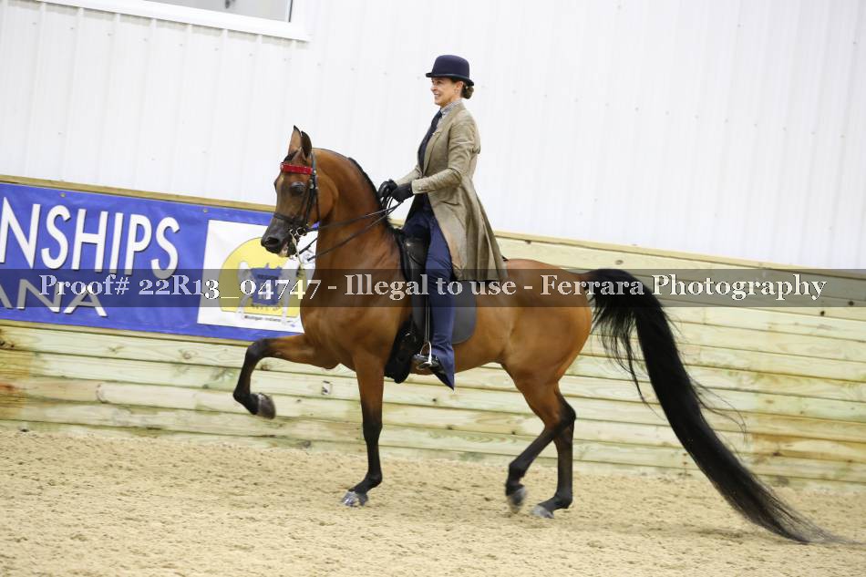 Proof 22R13_04747