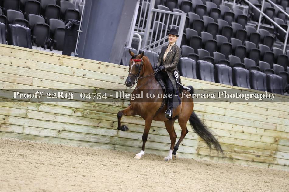 Proof 22R13_04754