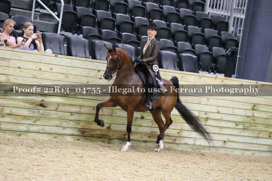 Proof 22R13_04755