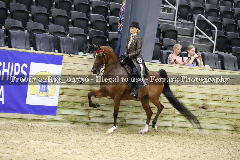 Proof 22R13_04756