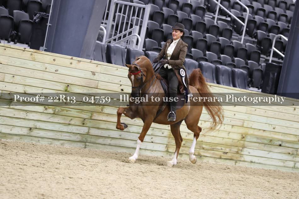 Proof 22R13_04759
