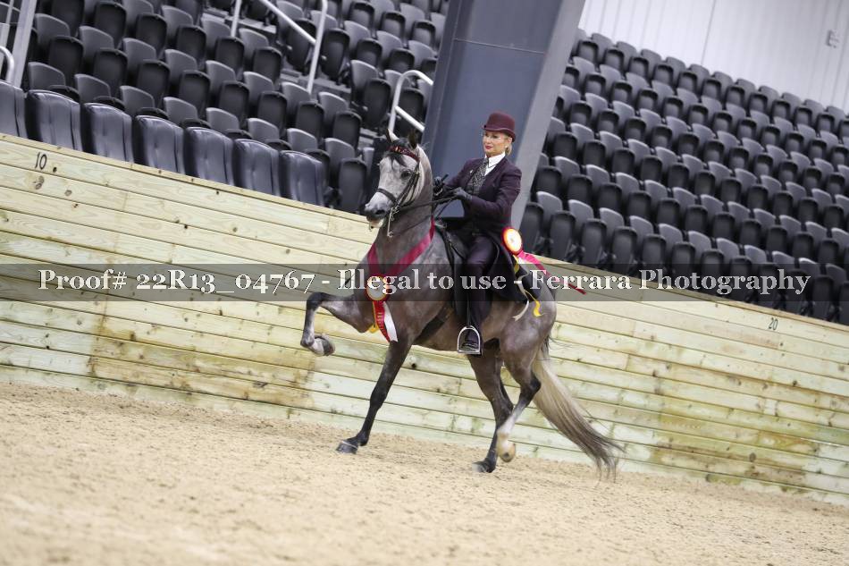 Proof 22R13_04767