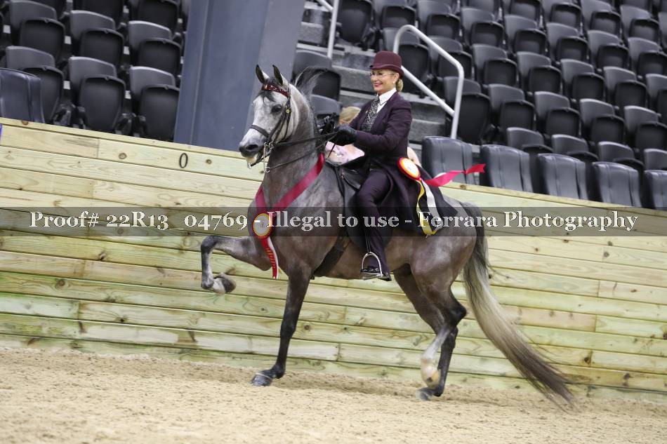 Proof 22R13_04769