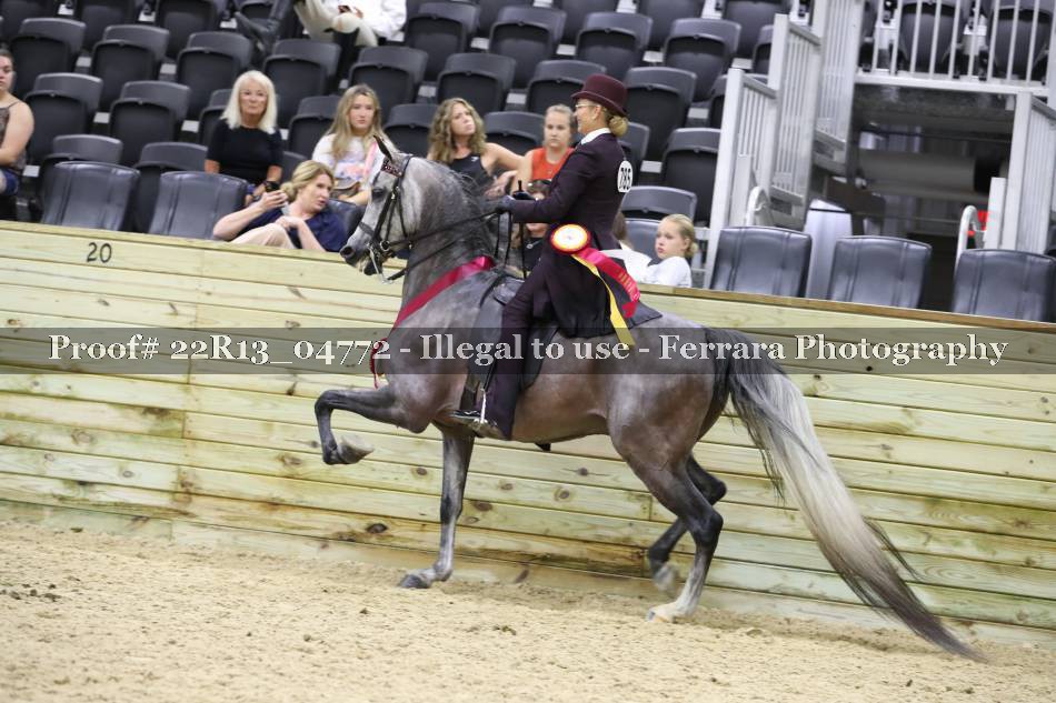 Proof 22R13_04772