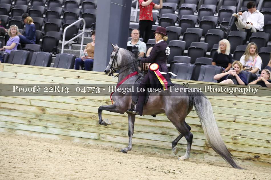 Proof 22R13_04773