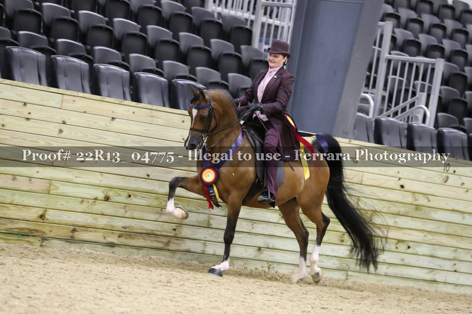 Proof 22R13_04775