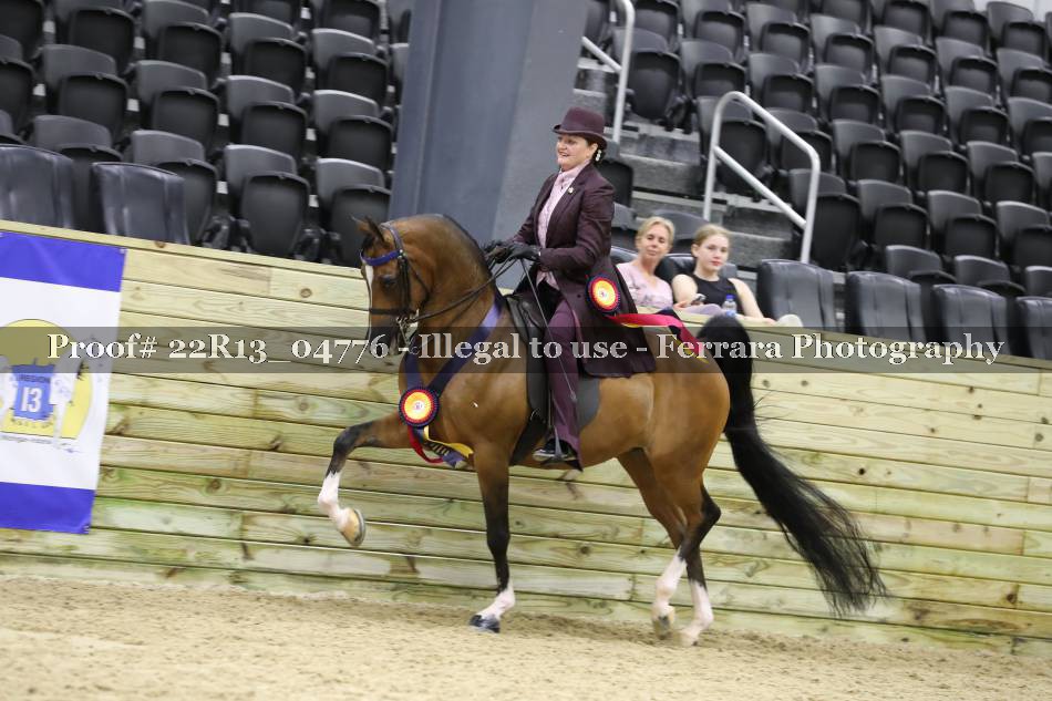 Proof 22R13_04776