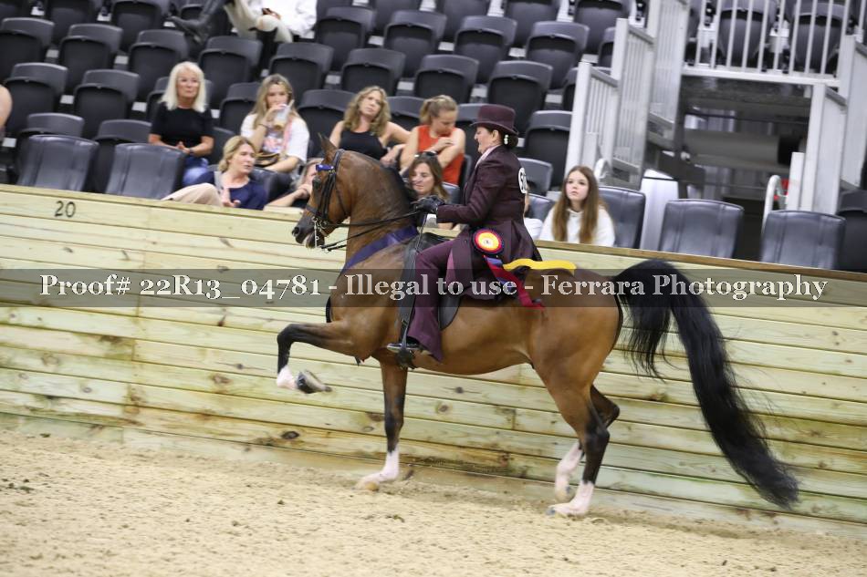 Proof 22R13_04781
