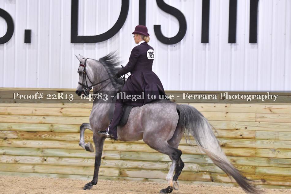 Proof 22R13_04783