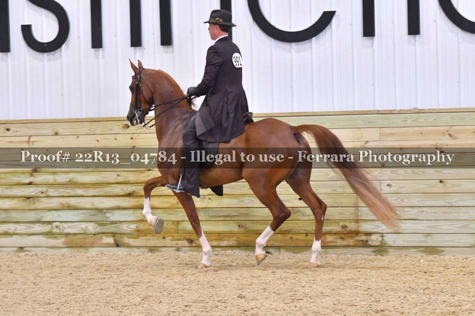 Proof 22R13_04784