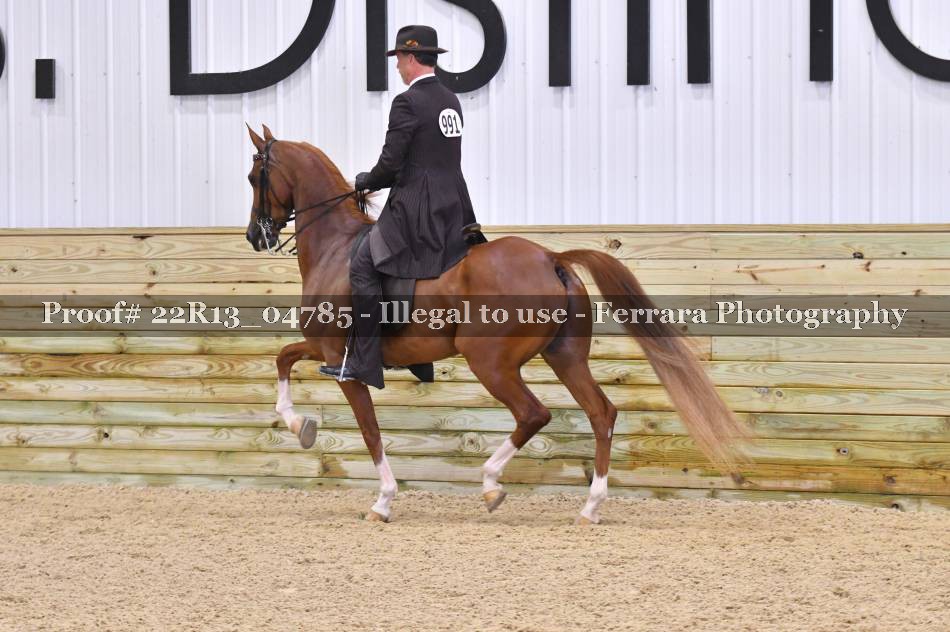 Proof 22R13_04785