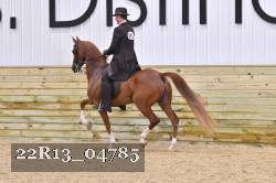22R13_04785 proof