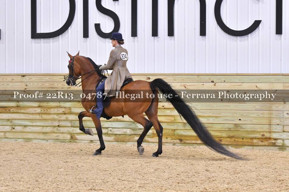 Proof 22R13_04787