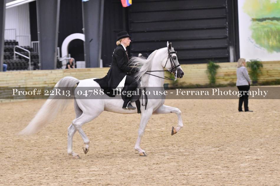 Proof 22R13_04788