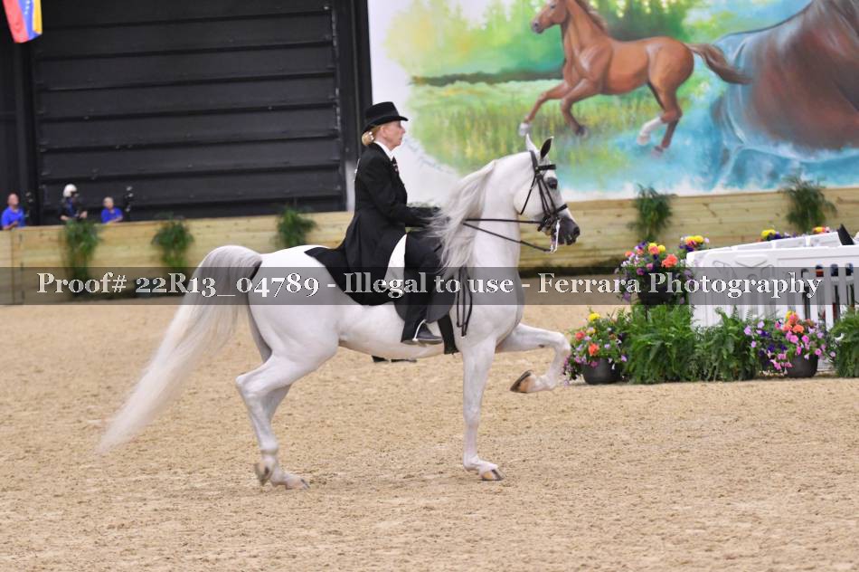 Proof 22R13_04789