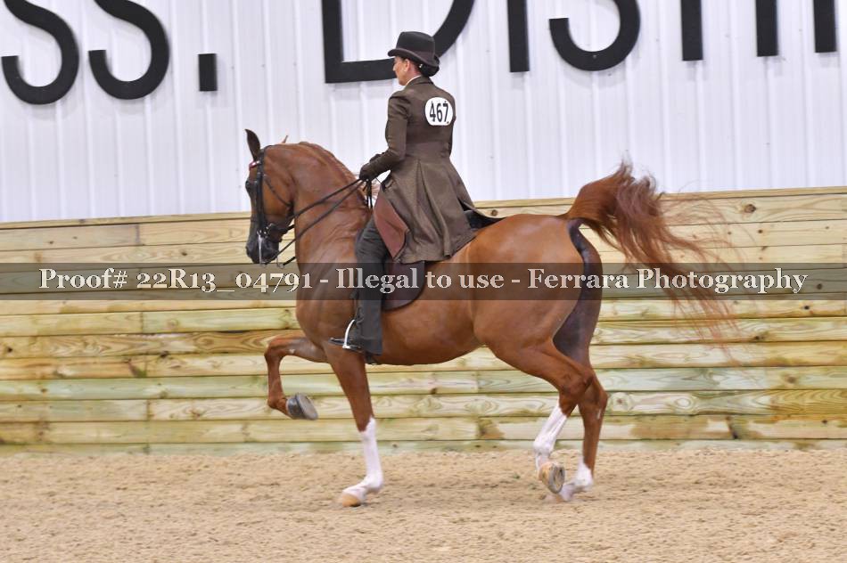 Proof 22R13_04791