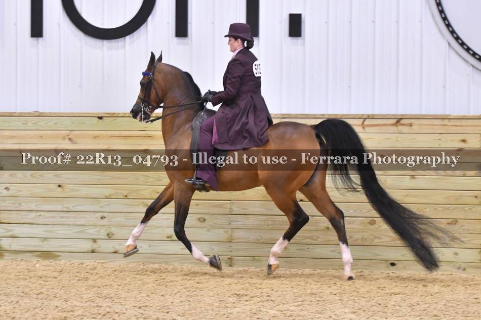 Proof 22R13_04793