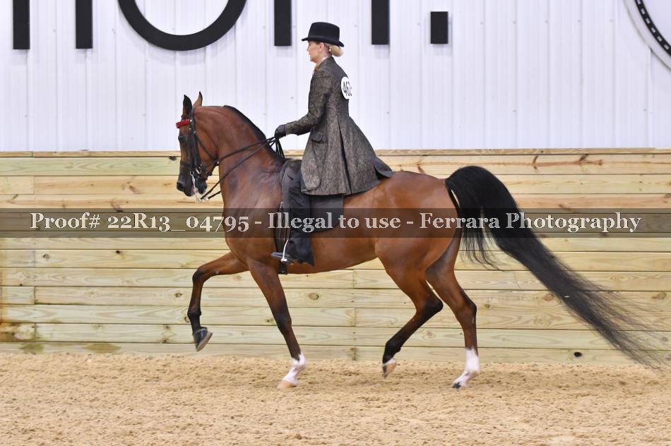 Proof 22R13_04795