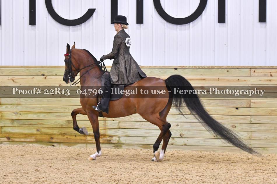 Proof 22R13_04796