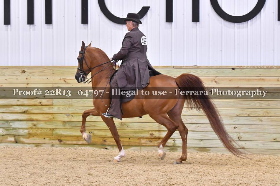 Proof 22R13_04797