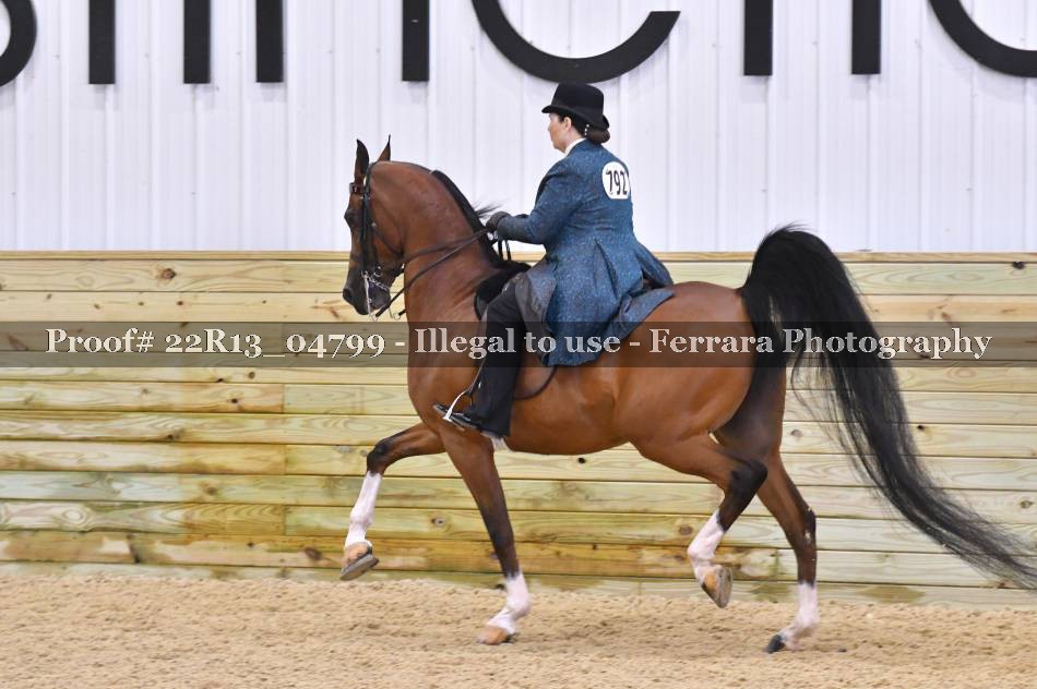 Proof 22R13_04799