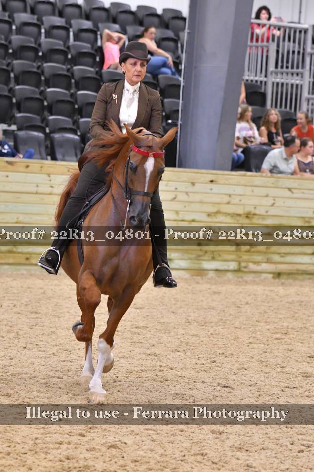 Proof 22R13_04801