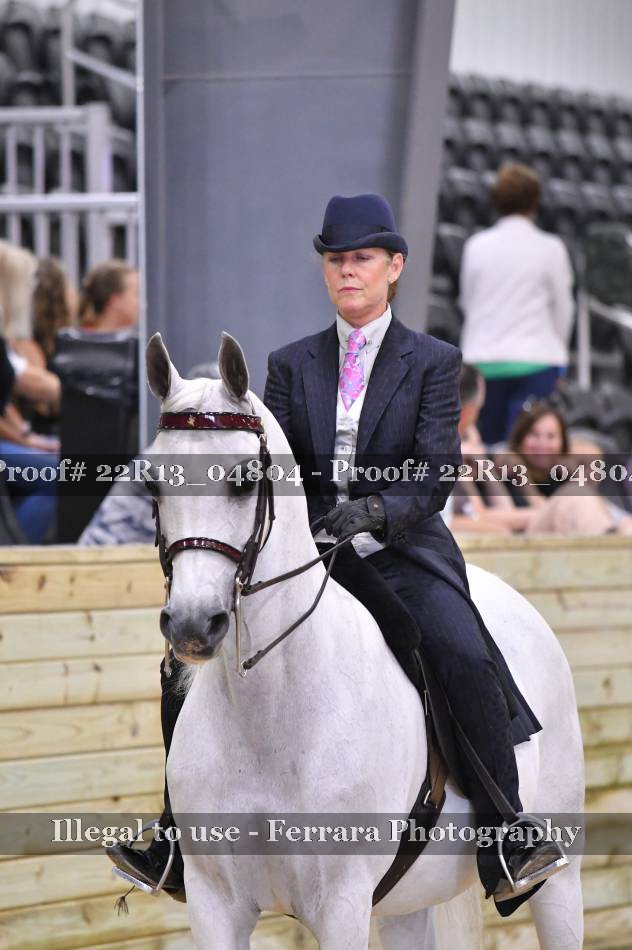 Proof 22R13_04804